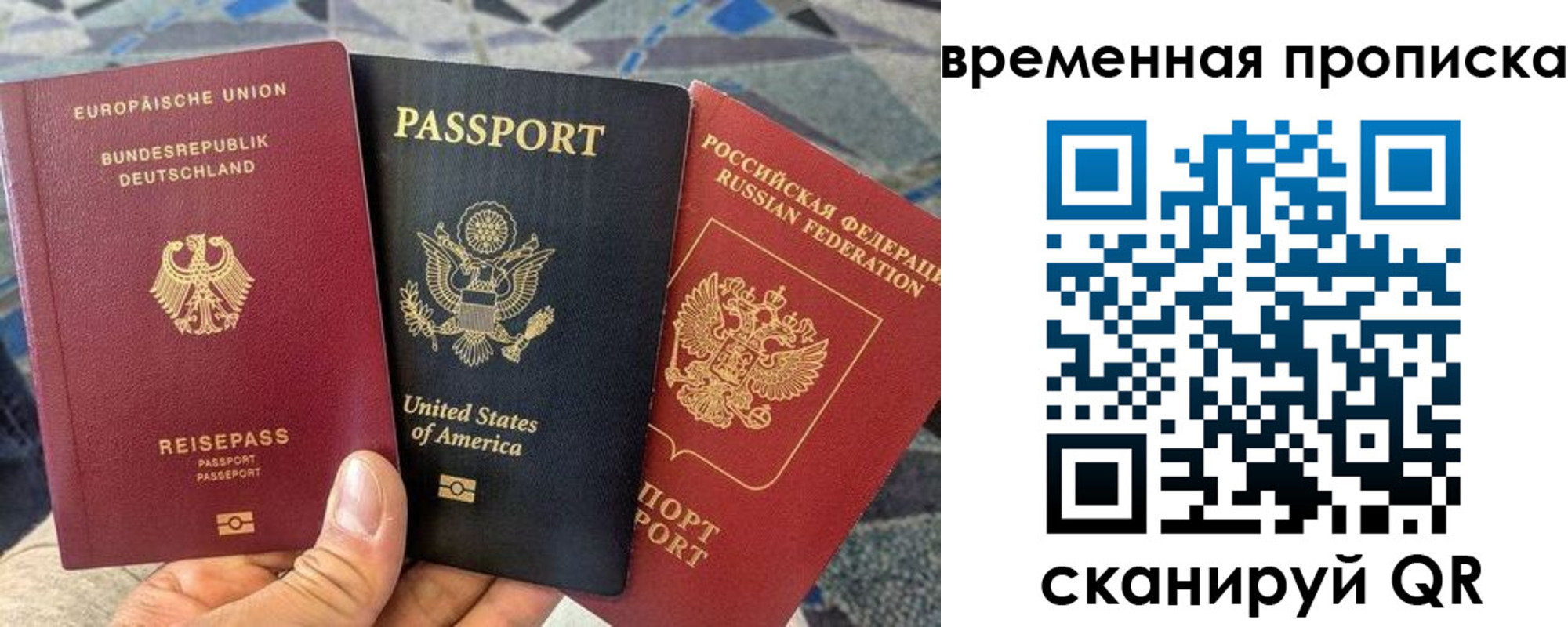 прописка гарантия в Брянске